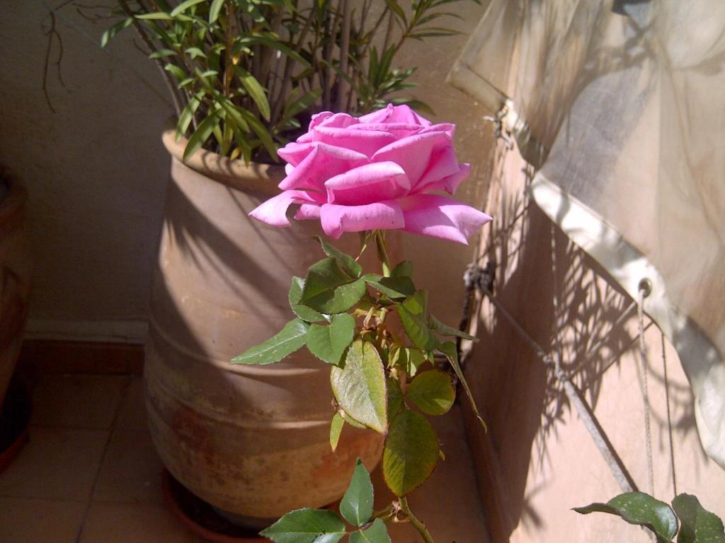 Riad Irene Marrakesh